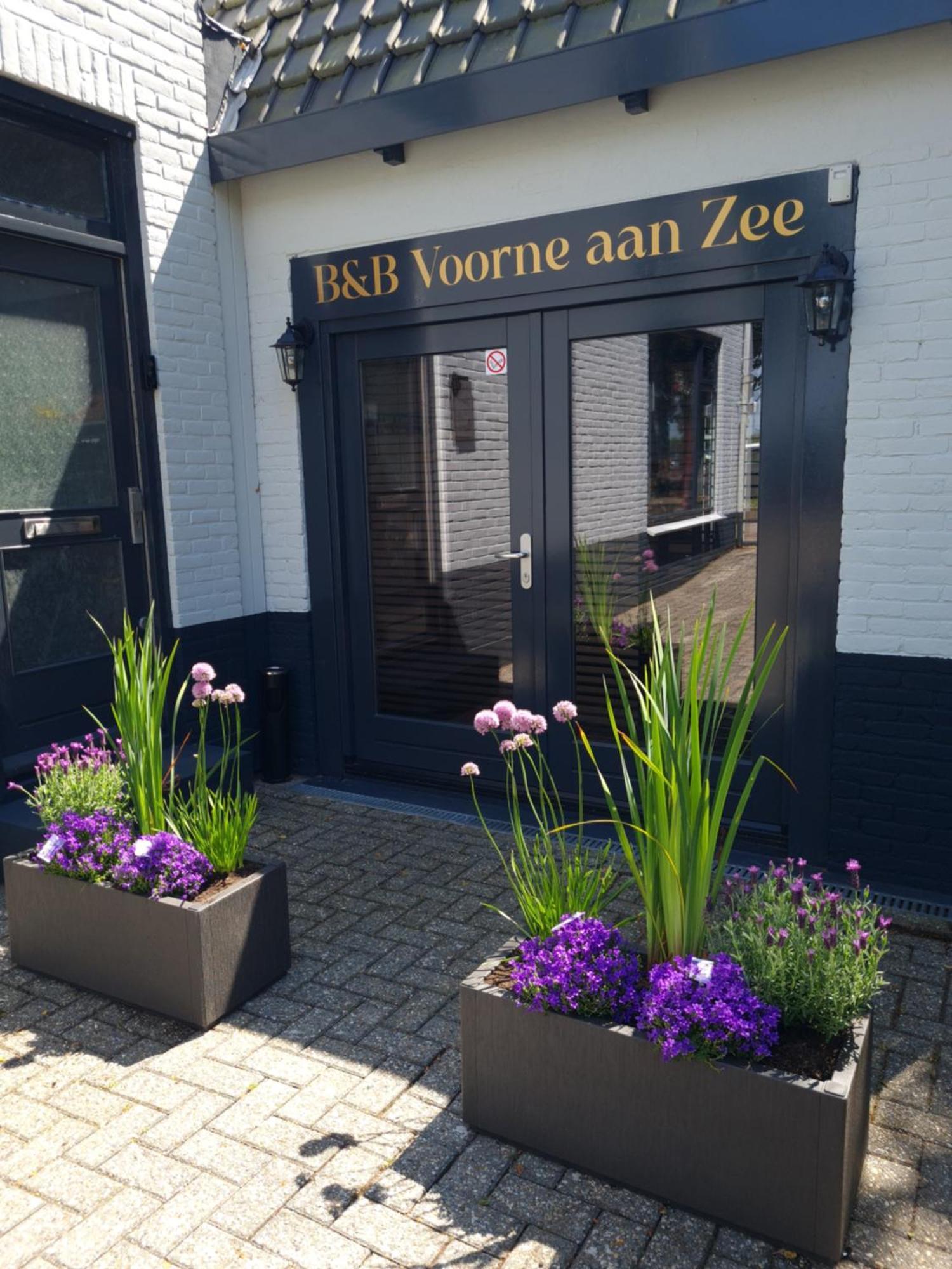 B&B Voorne Aan Zee Рокканье Экстерьер фото